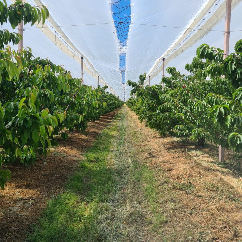 WhatsApp Image 2025-06-05 at 12.07.05